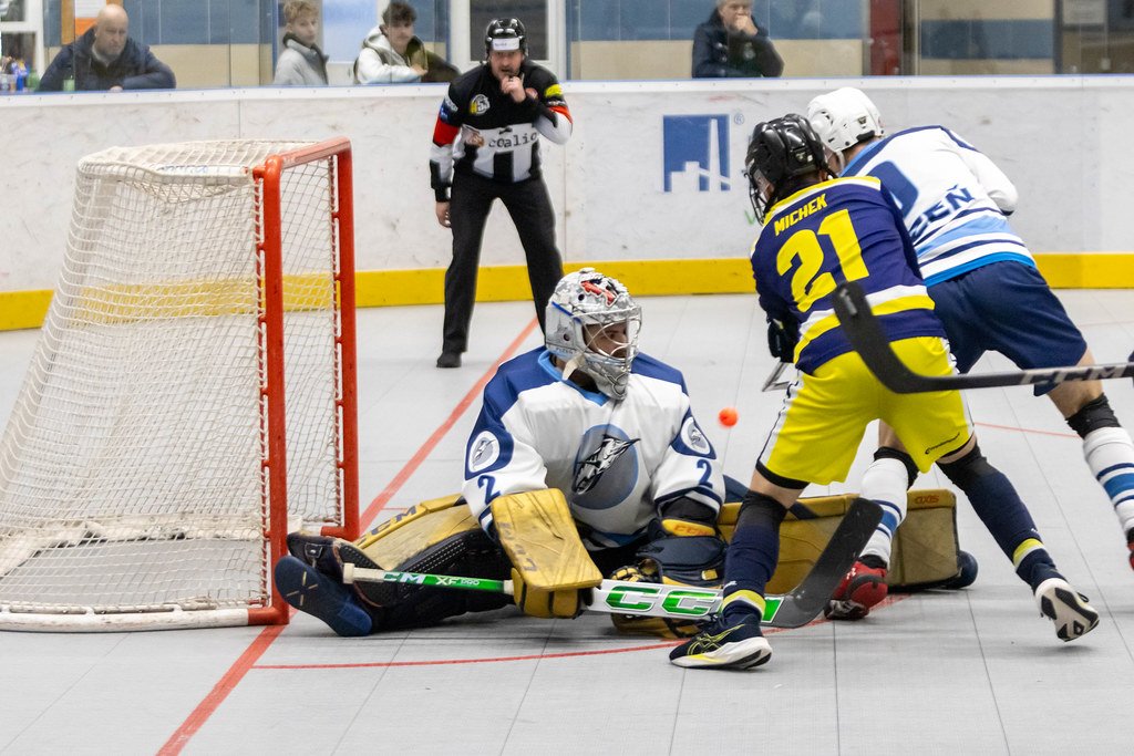 Tsn porka s mistrem. Gl v zvru na Hostiva nestail