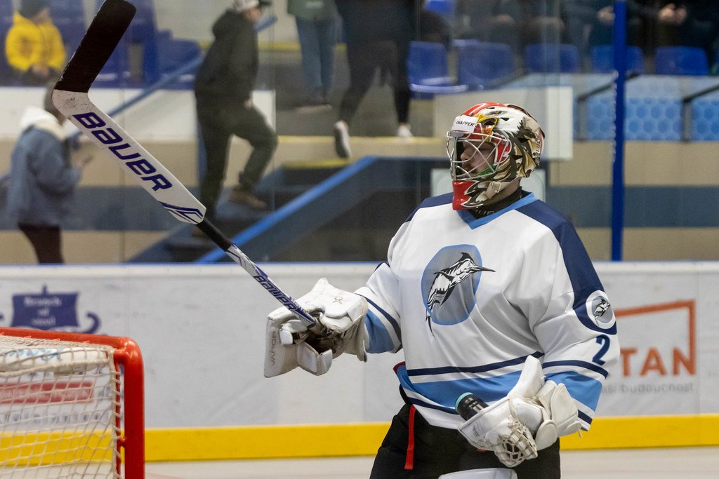 Ob�tav� v�kon a v�born� R��i�ka v brance. Plze� veze ze Sv�tkova t�i body